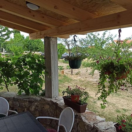 Apartment Mare Babin Dub Plocanski Εξωτερικό φωτογραφία
