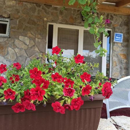 Apartment Mare Babin Dub Plocanski Εξωτερικό φωτογραφία
