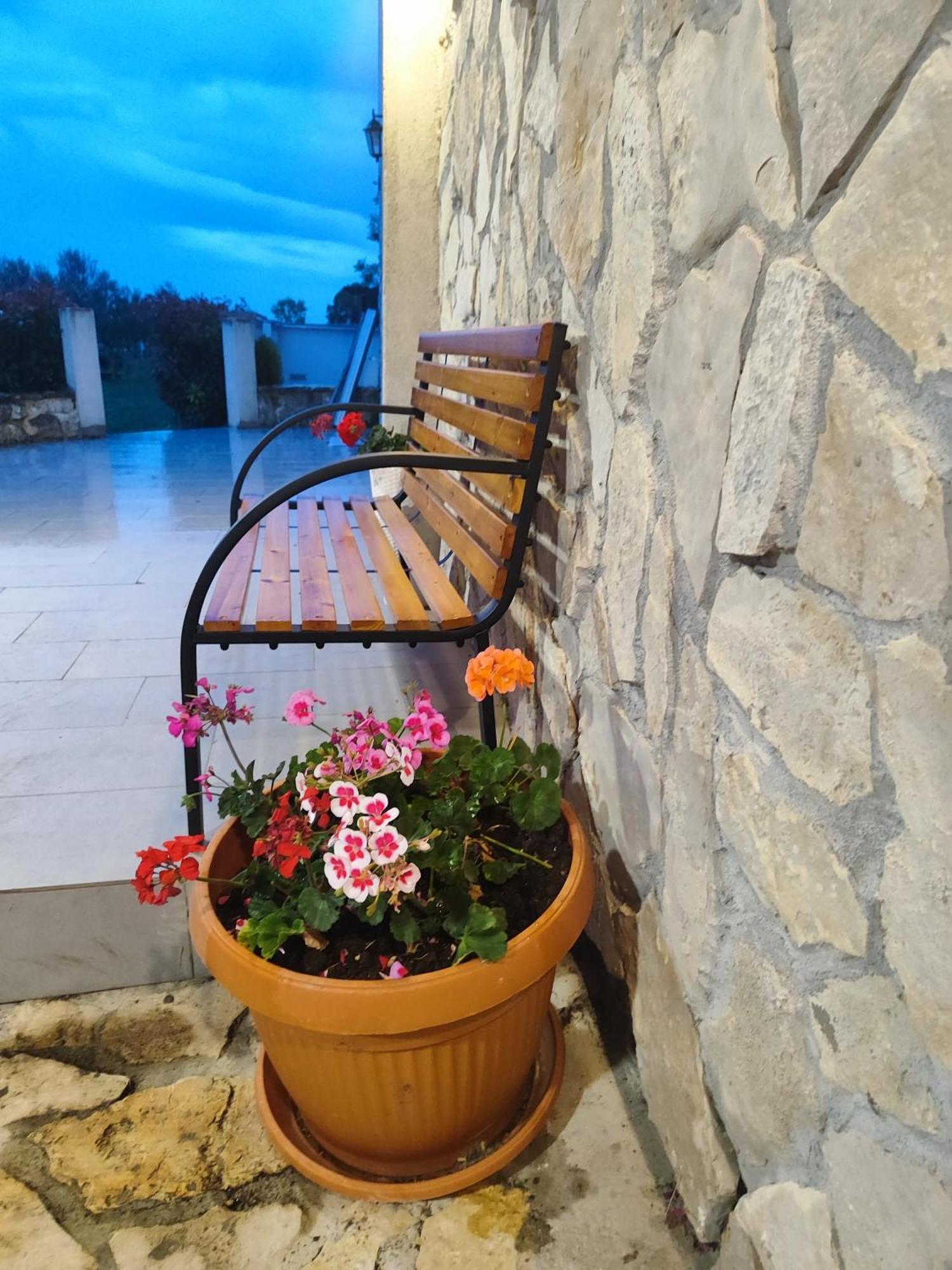 Apartment Mare Babin Dub Plocanski Εξωτερικό φωτογραφία