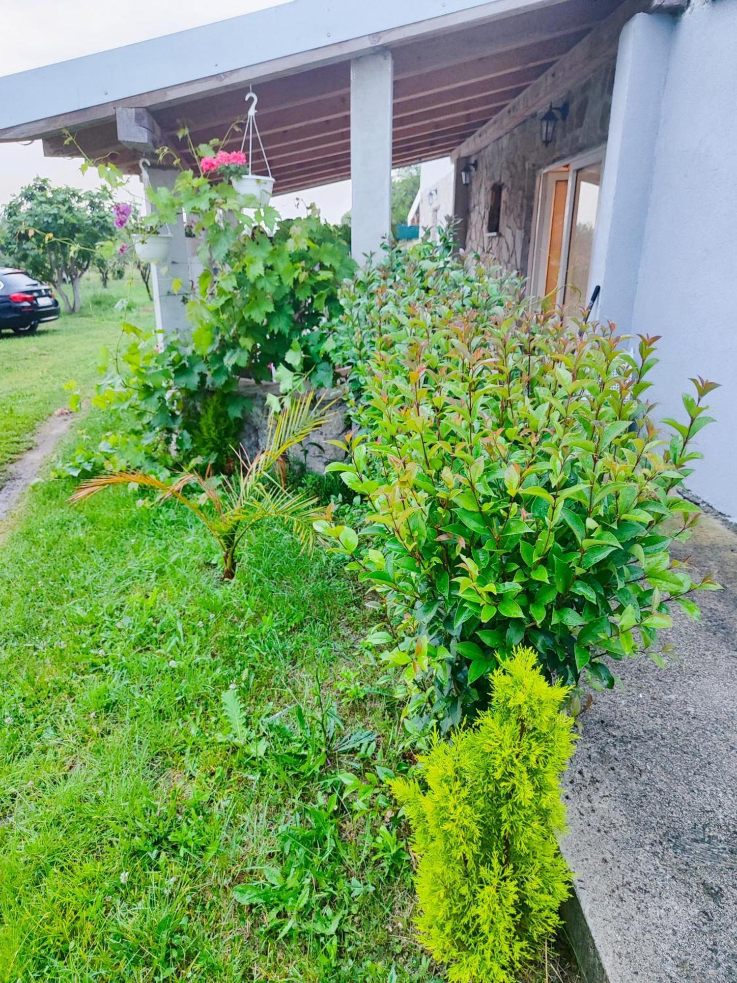 Apartment Mare Babin Dub Plocanski Εξωτερικό φωτογραφία